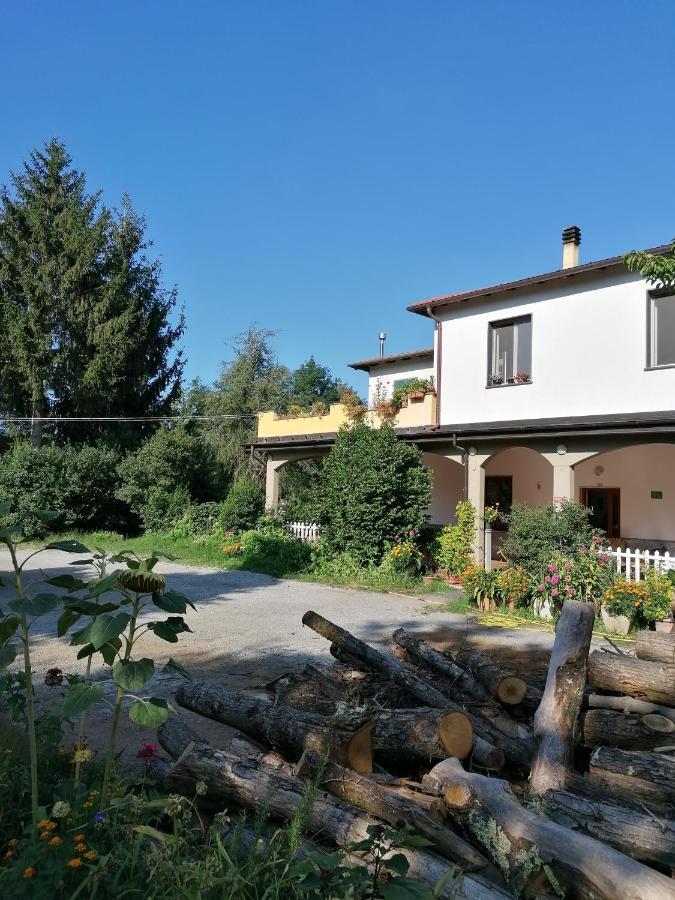 Le Camelie Villa Polverara Exterior photo